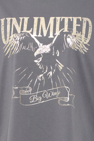 HAISLEY T-shirt Grey Metal