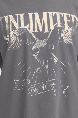 HAISLEY T-shirt Grey Metal